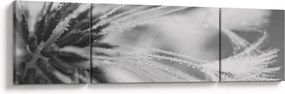 Obraz - Mlecz (170x50 cm)