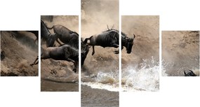 Obraz - Stado antylop gnu (125x70 cm)