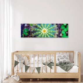 Obraz kaktusa (170x50 cm)