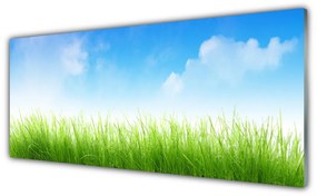 Panel Kuchenny Trawa Natura Roślina