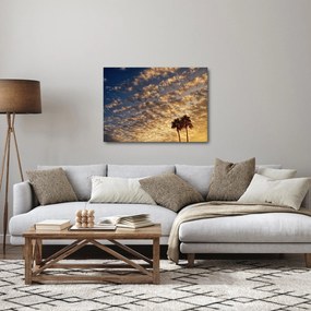 Obraz - palmy pośród chmur (70x50 cm)