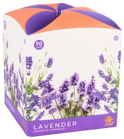 Arome Świeczka zapachowa w szkle Lavender, 90 g