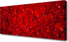 Obraz canvas Delikatne Płatki w Zbliżeniu