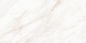 Mexen Forever Grey gres szkliwiony rekt. G1, płytka podłogowo-ścienna 120 x 60 cm, połysk - TL139-120-060-00