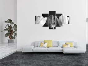 Obraz - Czarno - białe kwiaty tulipanów (125x70 cm)