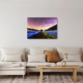 Obraz na szkle - kolorowe pole (70x50 cm)