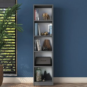Biblioteczka Hale Anthracite