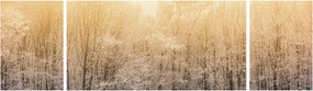 Obraz mroźnego lasu (170x50 cm)