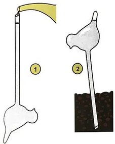 Szklany nawadniacz do podlewania roślin PTAK - 2 sztuki w komplecie