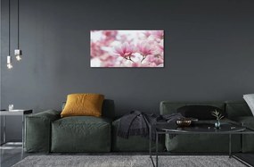 Obraz akrylowy Magnolia drzewa
