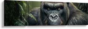 Obraz - Portret goryla (170x50 cm)