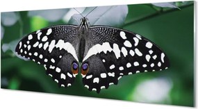 Panel Szklany Motyl na Zielonych Liściach
