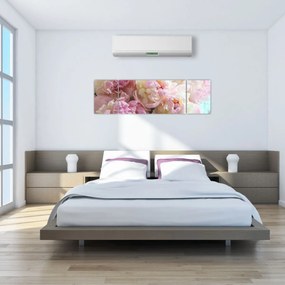 Obraz - Piwonie (170x50 cm)