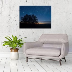 Obraz na szkle drzew w nocy (70x50 cm)