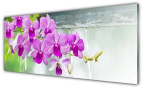 Obraz Szklany Storczyki Krople Natura