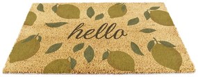 Wycieraczka z włókna kokosowego 40x60 cm Hello Lemons – Artsy Doormats