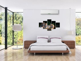 Obraz - Tygrysi Bracia (125x70 cm)