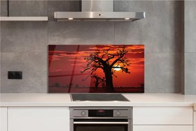 Szklany Panel Drzewa pod Zachmurzonym Niebem