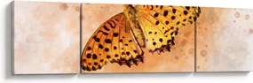 Obraz - Pomarańczowy motyl, akwarela (170x50 cm)