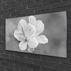 Obraz Akrylowy Kwiaty Roślina