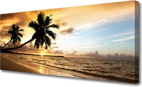 Fotoobraz na płótnie Tropikalne Wybrzeże z Palmą