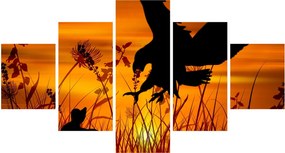 Obraz sylwetki drapieżnika (125x70 cm)