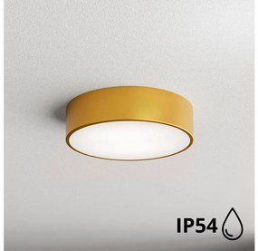 Brilagi - Plafon łazienkowy CLARE 2xE27/24W/230V śr. 30 cm IP54 złoty