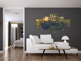 Obraz - Winnica (125x70 cm)