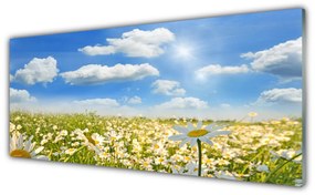 Panel Szklany Łąka Stokrotki Natura