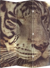 Parawan - Tygrys (126x170 cm)