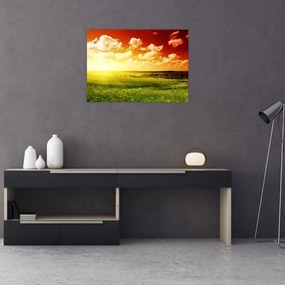 Obraz łąki ze świecącym słońcem (70x50 cm)