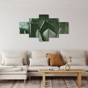 Obraz - Zielona agawa (125x70 cm)