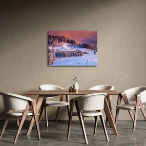 Obraz zimowego krajobrazu (70x50 cm)