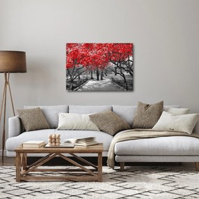 Obraz - Czerwone drzewa, Central Park, New York (70x50 cm)