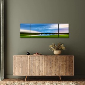 Obraz łąki (170x50 cm)
