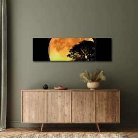 Obraz cieni w świetle księżyca (170x50 cm)