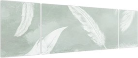 Obraz - Białe pióra (170x50 cm)