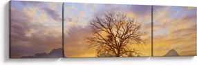Obraz - Pejzaż ze słonecznikami (170x50 cm)