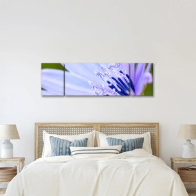 Obraz - Kwiat (170x50 cm)