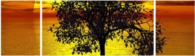 Obraz sylwetki drzewa (170x50 cm)