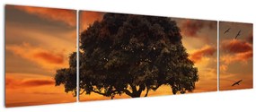 Obraz drzewa o zachodzie słońca (170x50 cm)
