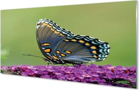 Panel nad Blat Kuchenny Barwny Motyl na Kwiatach
