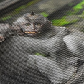 Obraz - małpki (170x50 cm)