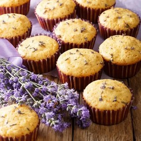 Orion Forma na 24 muffiny Grande 42 x 26 cm