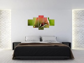 Obraz kolorowego ptaka (125x70 cm)