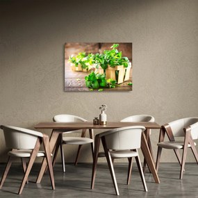 Obraz na szkle - świeża mięta (70x50 cm)