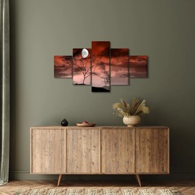 Obraz - Księżyc oświetlający noc (125x70 cm)