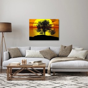 Obraz sylwetki drzewa (70x50 cm)