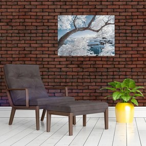 Obraz na szkle - ośnieżone drzewo nad wodą (70x50 cm)