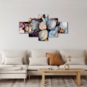 Obraz muszelek (125x70 cm)